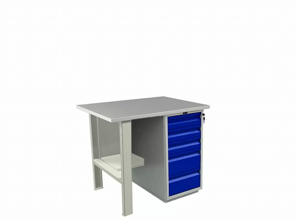 Верстак Практик Profi WT100.F1.WD5.000
